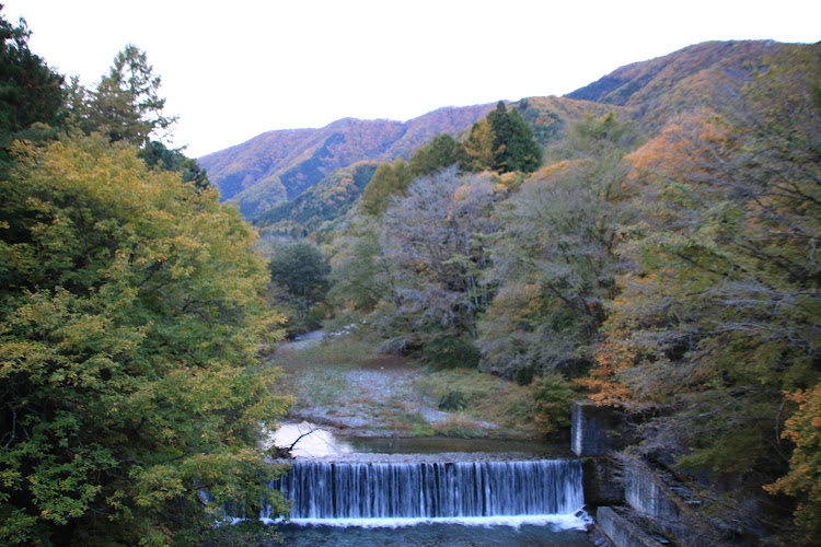 フィット RSのフィット・GK5・湯西川・平家の里・紅葉と愛車に関するカスタム事例の投稿画像14枚目