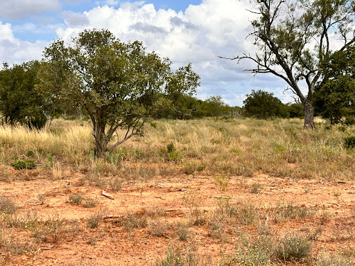 Land 1