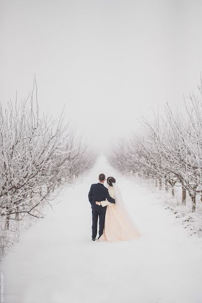 Fotógrafo de casamento Staver Ivan (stawer). Foto de 4 de fevereiro 2018