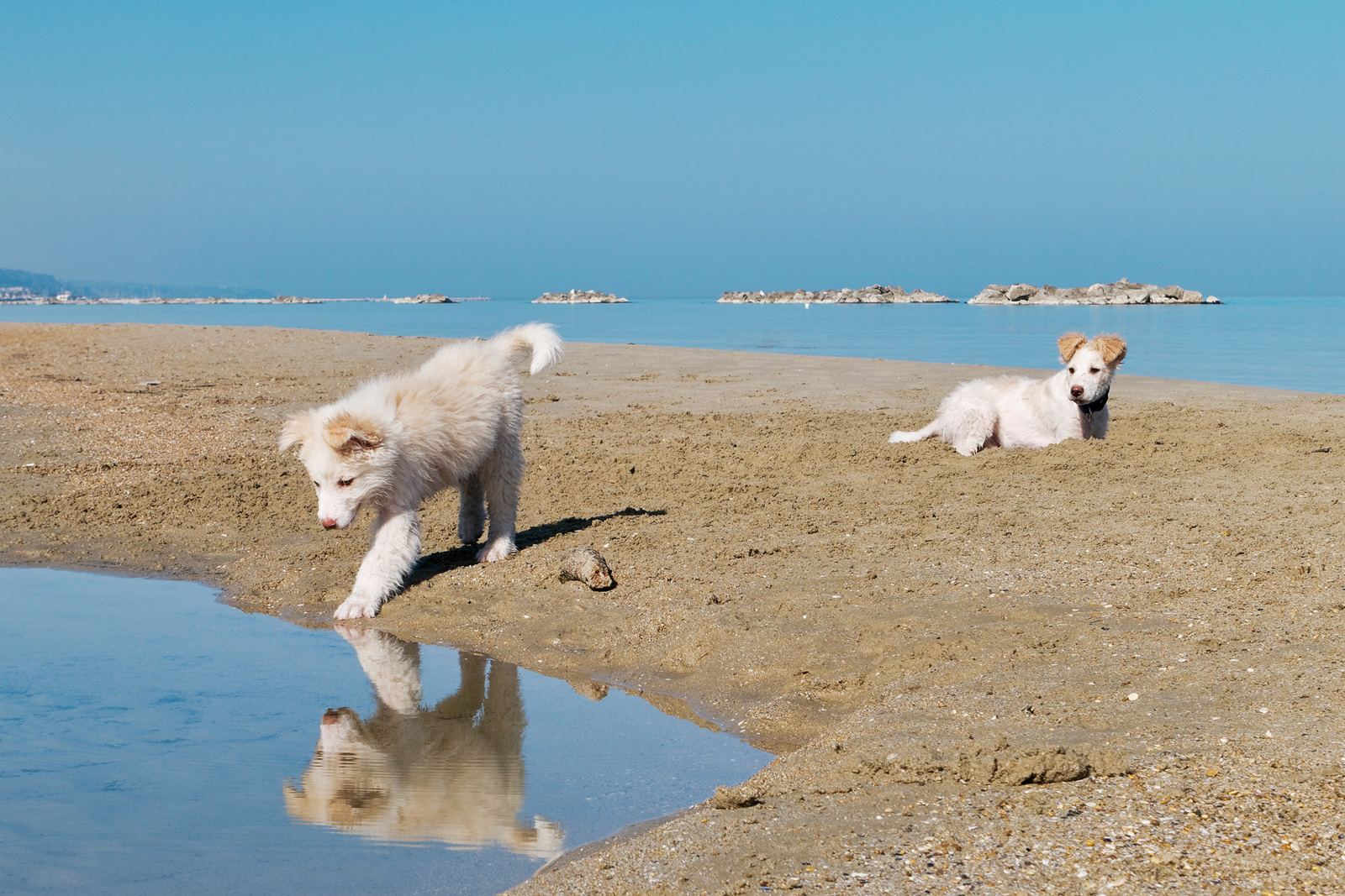 Mirror on the Beach di killerqueen