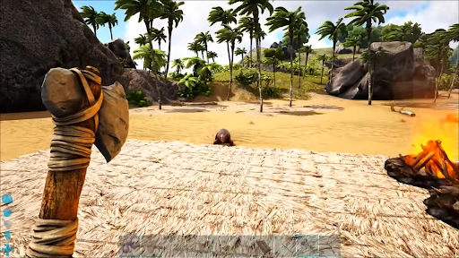 Hints of ASK: Survival Game Evolved