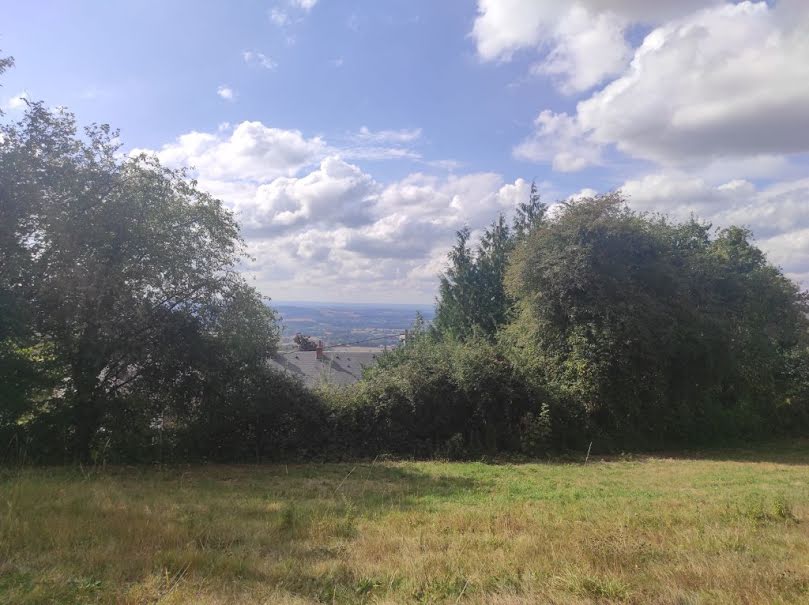 Vente terrain  3678 m² à Château-Chinon-Ville (58120), 38 000 €