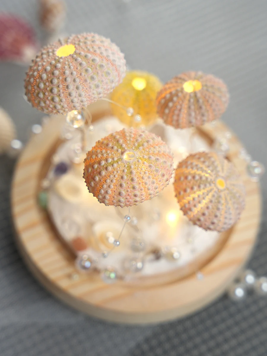 Title 7, Creative Sea Urchin Shell Jellyfish Lamp Handma...