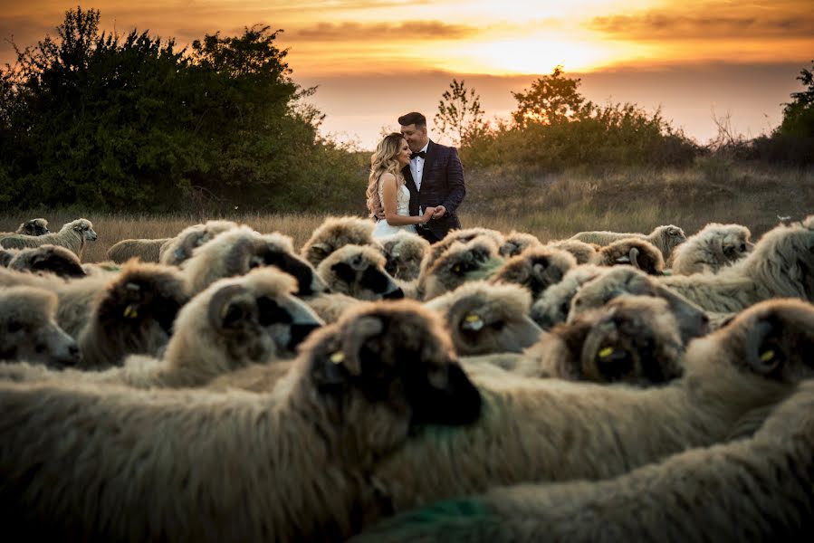 Fotógrafo de casamento Alex Philip (philipalex88). Foto de 19 de outubro 2021