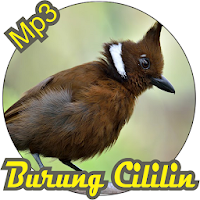 suara masteran burung cililin gacor offline