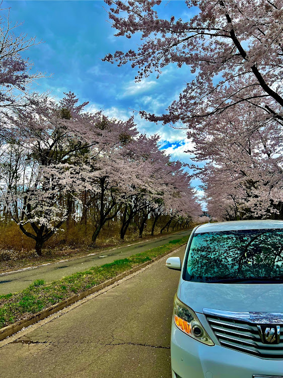 の投稿画像3枚目