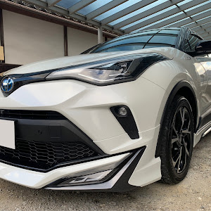 C-HR ZYX11