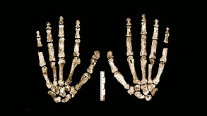 Homo Naledi thumbnail