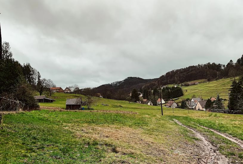  Vente Terrain à bâtir - à Windstein (67110) 