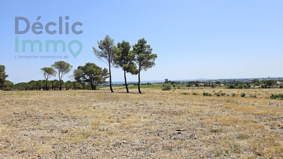 Vente terrain  4122 m² à Loupian (34140), 45 000 €