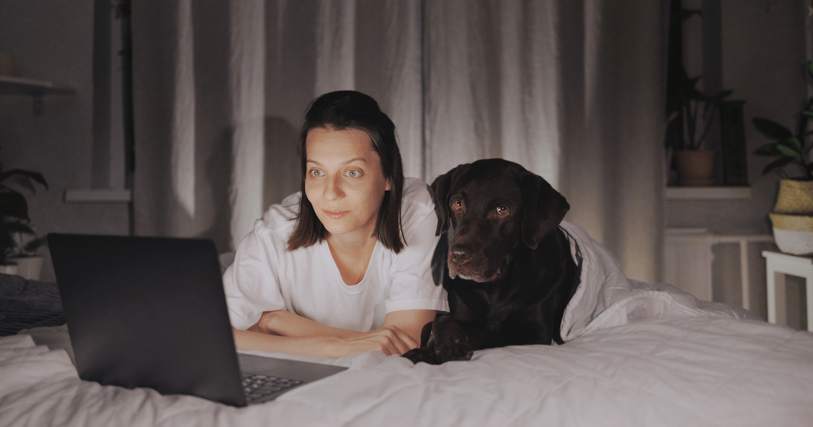 Woman and chocolate lab laying side-by-side on bed facing laptop screen