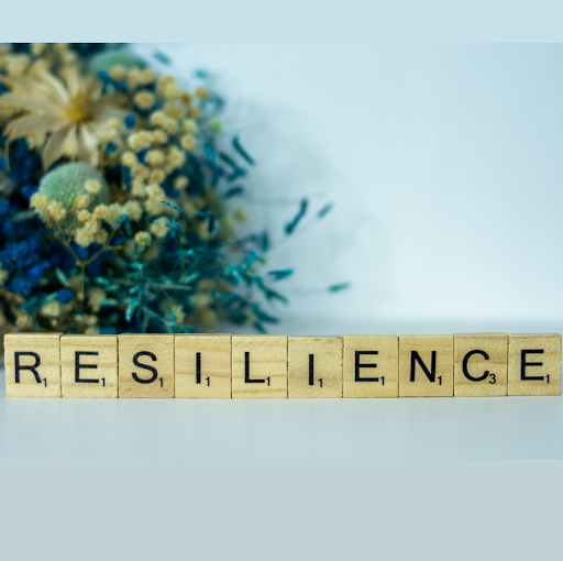 Résilience