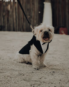 Fotógrafo de casamento Esteban Roan (roanweddings). Foto de 12 de março 2023