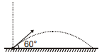 Projectile Motion