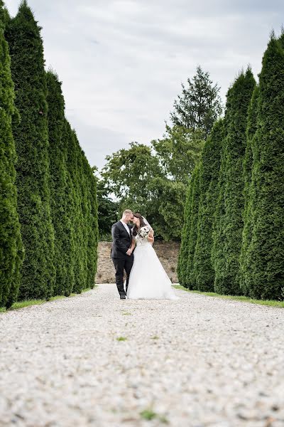 Huwelijksfotograaf Ekatarina Paller (ekatarinapaller). Foto van 29 juli 2019