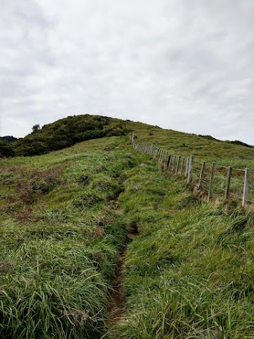 Karioi via Mt Karioi Track