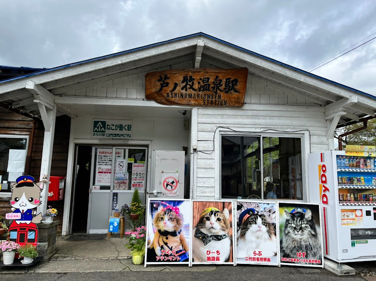 グロリアワゴンの牛乳屋食堂・栃木県・福島県・茨城県・ゴールデンウィークに関するカスタム事例の投稿画像2枚目
