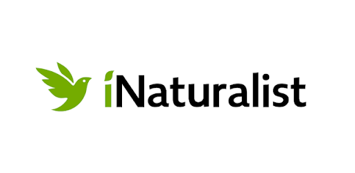 iNaturalist