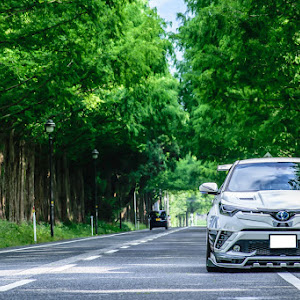 C-HR ZYX10