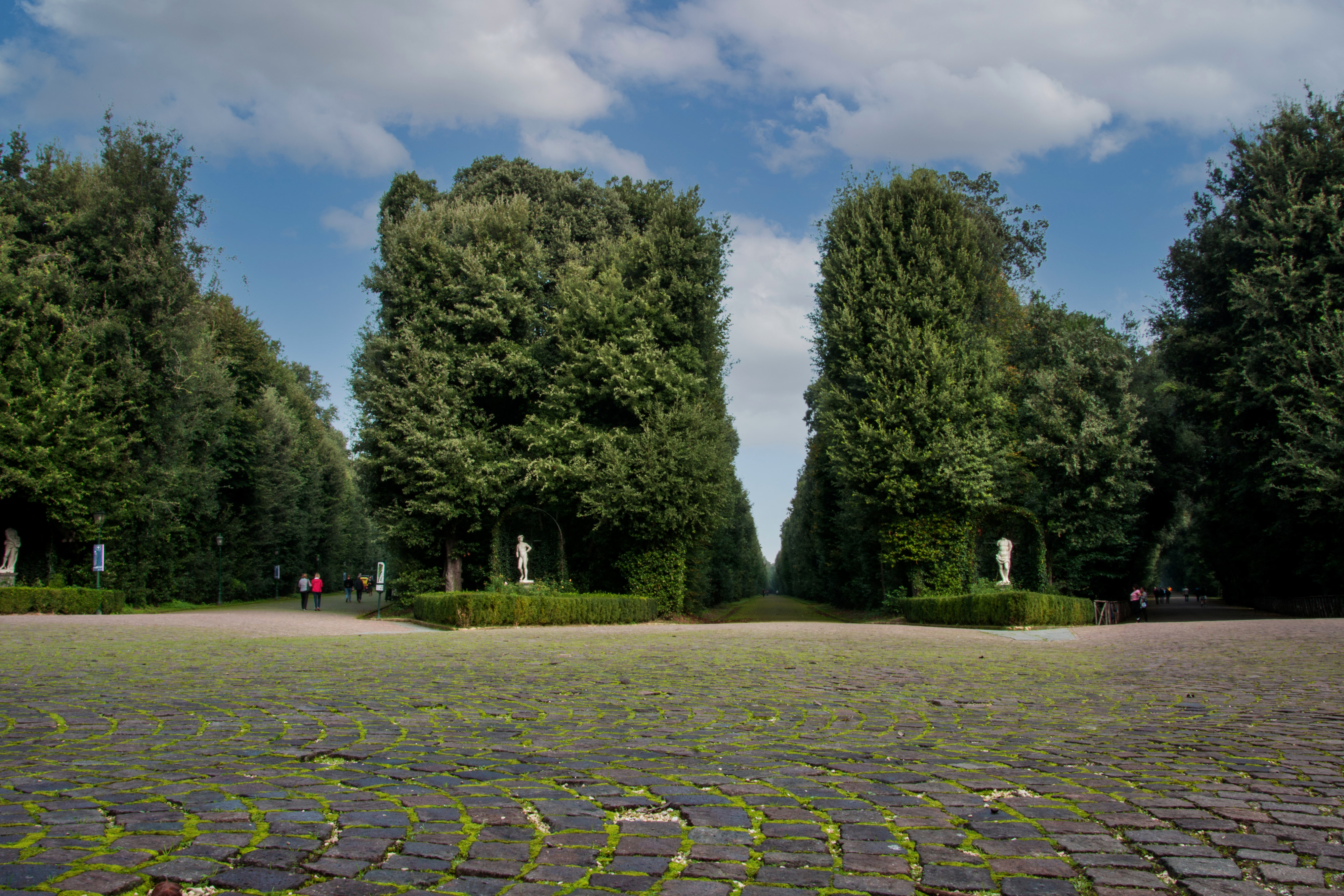 Bosco di Capodimonte di Pinuccia61