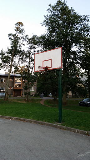 Basketball Ground