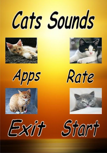 Cats and Sounds