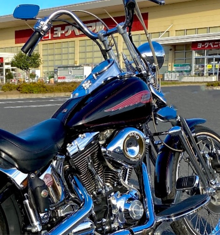 フェアレディZのミニチュアダックスフンド・カレー焼肉ラーメン・HARLEY-DAVIDSON・fxstsスプリンガー・ハーレーダビットソンに関するカスタム事例の投稿画像2枚目