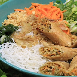 Vegetarian Crispy Spring Roll Vermicelli