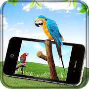 Parrot Live Wallpaper 1.5 Icon