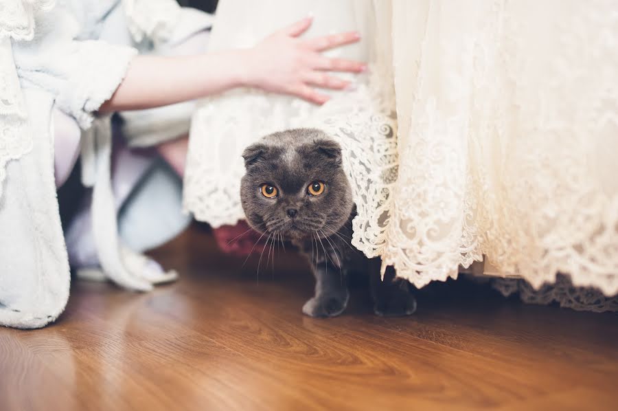 Fotografo di matrimoni Vladimir Sagalo (sagalo). Foto del 18 aprile 2018