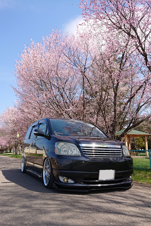 ノアのYaha☆Company・輪止めビビリーズ・two-k魂・チームローガン北海道・近場の桜と初コラボに関するカスタム事例の投稿画像1枚目