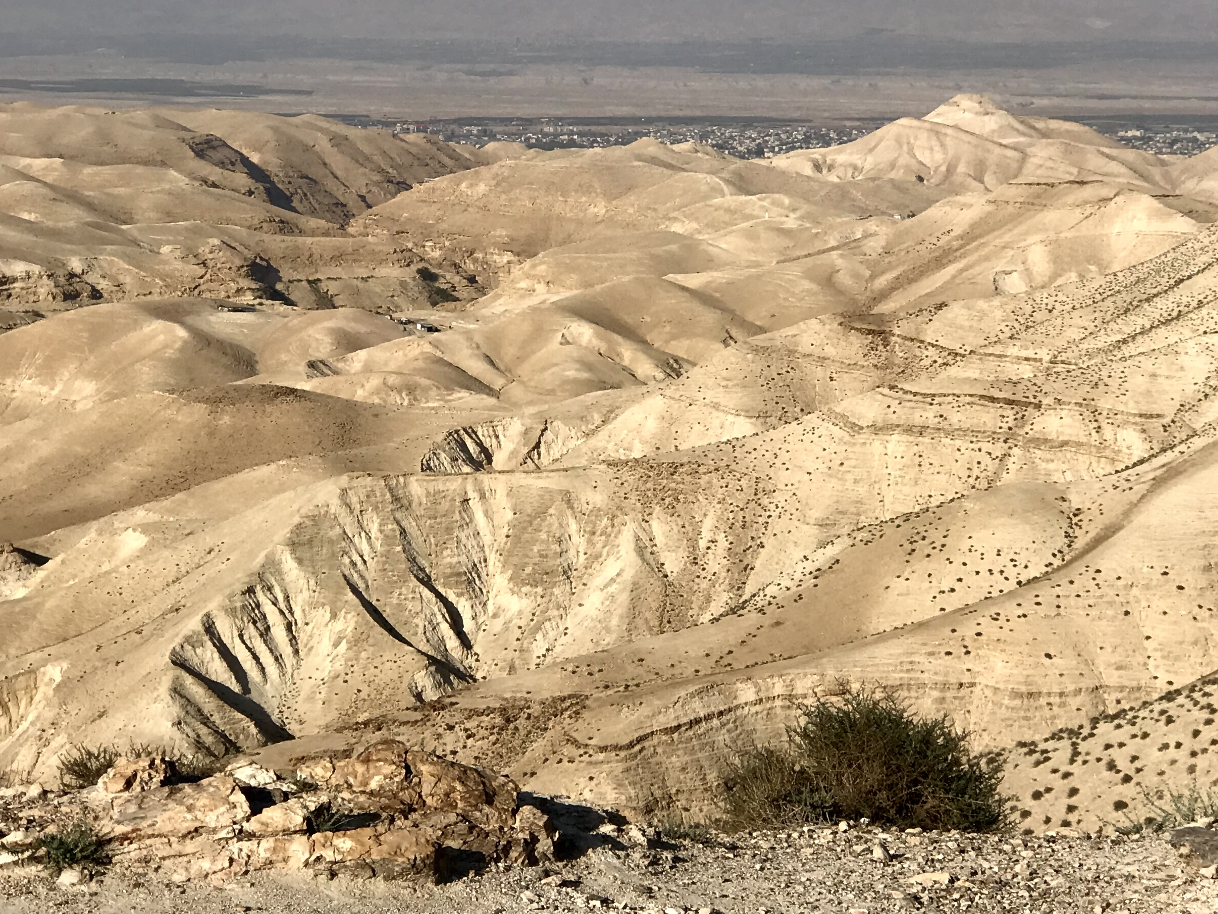 Deserto in Israele  di emidesa