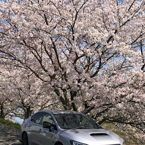 WRX S4 VAG