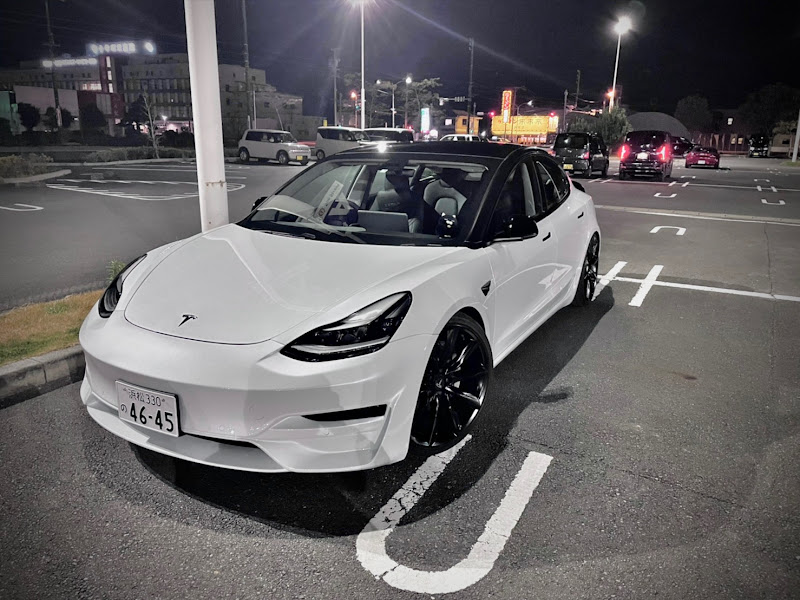 希少非売品 テスラ TESLA 純正 車検証レザーケース