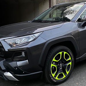 RAV4