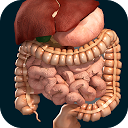 ダウンロード Internal Organs in 3D (Anatomy) をインストールする 最新 APK ダウンローダ