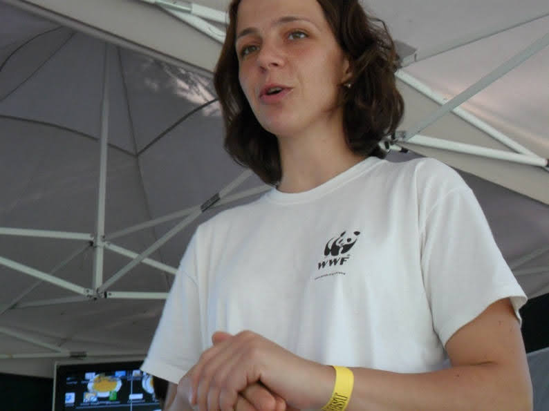 гогольфест