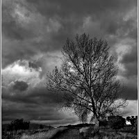 Verso il Temporale di 