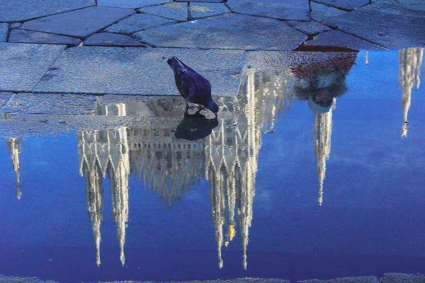 Riflessi a Milano di AnMu