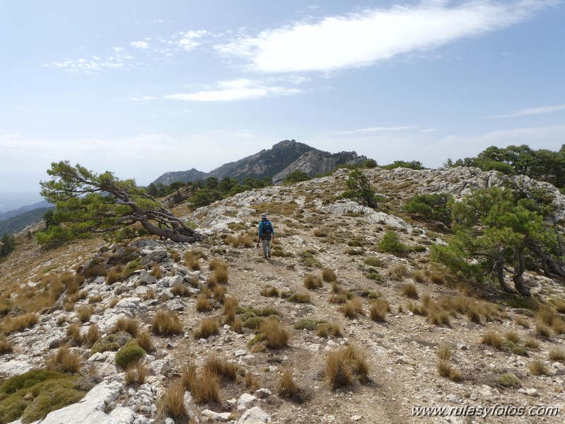 Pico Cabañas