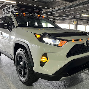 RAV4 MXAA54