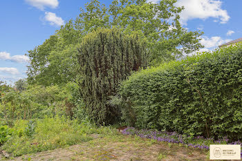 maison à Le chesnay (78)