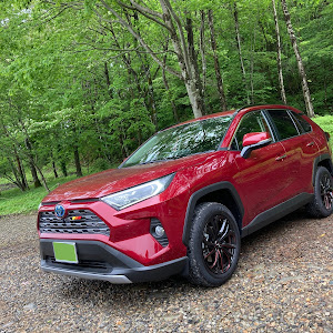 RAV4 AXAH54