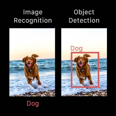 Image recognition vs object detection