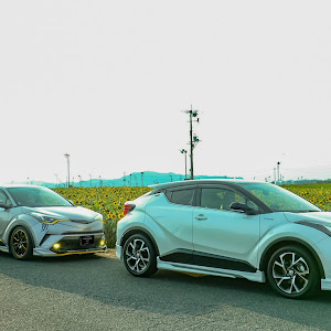 C-HR NGX10