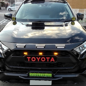 RAV4 MXAA54