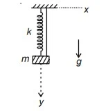 Spring-Mass System