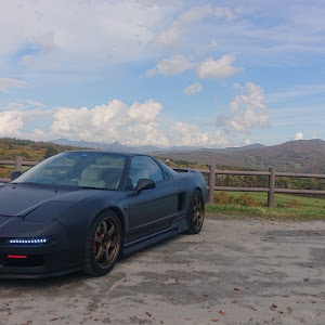 NSX NA1