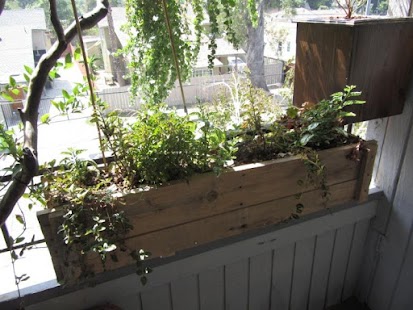 Planter Ideas Screenshots 2