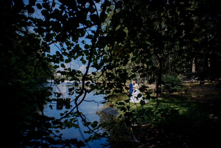 Wedding photographer Elena Koroleva (korolevaphoto). Photo of 2 September 2023